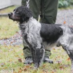 Fabian Du Vallon De La Rigaude Ägare: Arild Eikeland