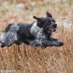 Fabian Du Vallon De La Rigaude Ägare: Arild Eikeland