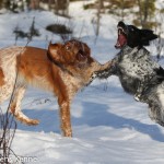 Elva och Riva busar med varandra