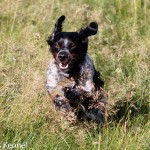 Fabian Du Vallon De La Rigaude Äg: Arild Eikeland