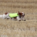 Lillgemons Mac-Nevis